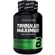 BiotechUSA TRIBULUS MAXIMUS 90tabletek