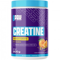 6Pak Creatine Monohydrate 500g