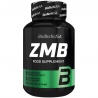 Biotech ZMB 60k