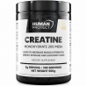 Human Protect Creatine Monohydrate 500g